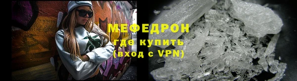 индика Медвежьегорск