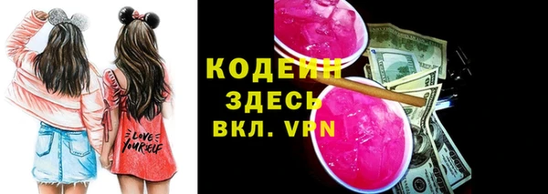 индика Медвежьегорск