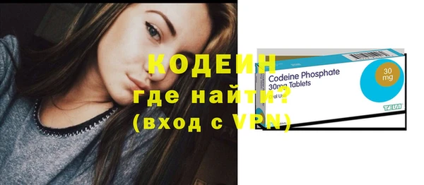 индика Абаза