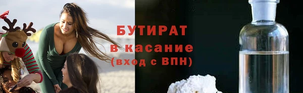 индика Медвежьегорск