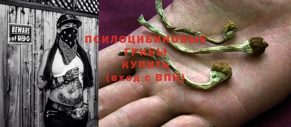 индика Медвежьегорск