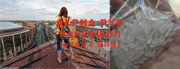 индика Абаза