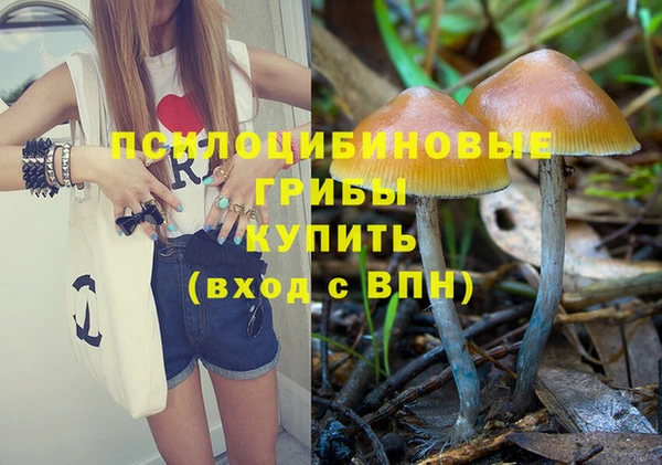 индика Абаза