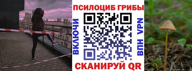 Псилоцибиновые грибы мицелий Сызрань